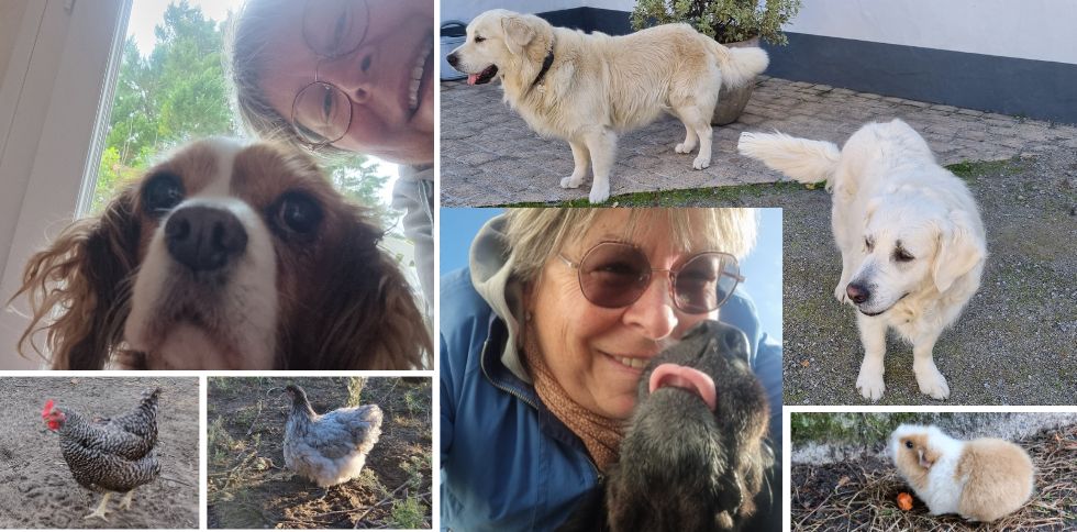 🐾 « Elle arrive quand, la petsitter ? »