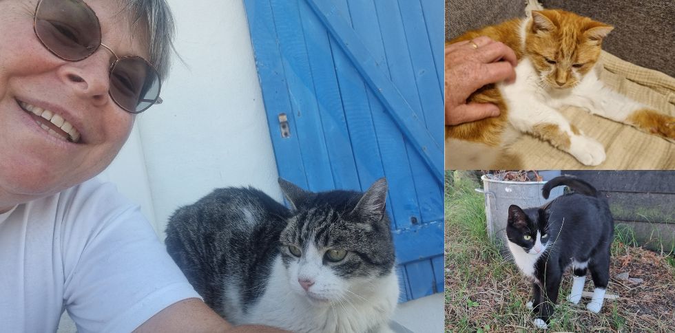 ✨ MERCI POUR CETTE MERVEILLEUSE ANNÉE 2025 !