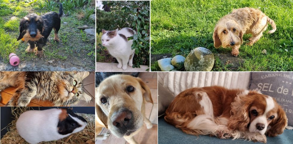 Ils me font confiance : avis et témoignages clients Animaux Coco