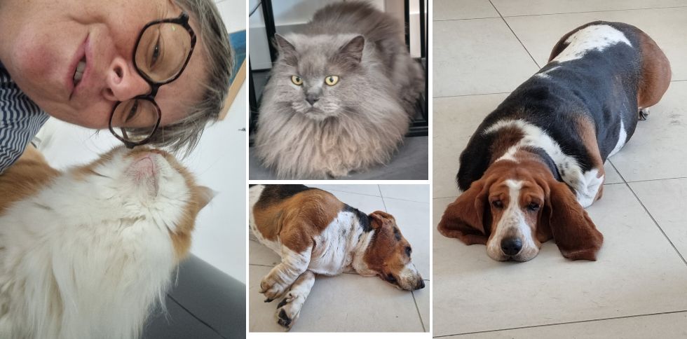 Petsitter professionnelle à Noirmoutier